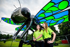 Supporting image for story: Shrewsbury Flower Show 2016: Giant dragonfly to welcome visitors