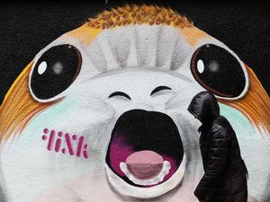 Supporting image for story