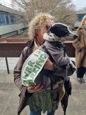 Protesters outside Shirehall on Tuesday
