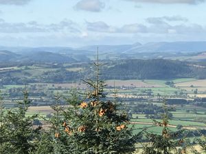 View from Mortimer Forest