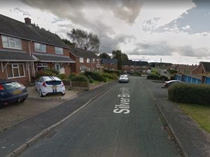 Supporting image for story: Wing mirrors ripped off by Huntington vandals