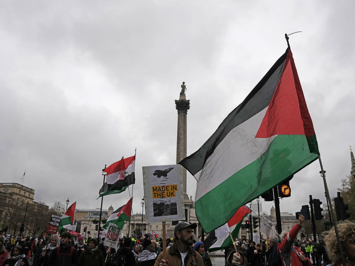 Pro-Palestine and Ukip protesters to gather in separate rallies in Westminster Pro-Palestine and Ukip protesters to gather in separate rallies in Westminster
