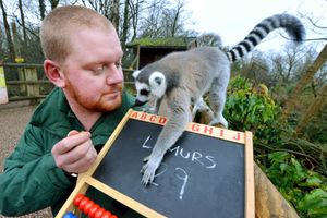 Adam Walker with Karus the Lemar