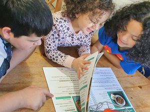 Supporting image for story: Book cooks up tasty meals on a budget 