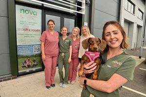 Samantha Brailey, holding dog, Sausage, with (L-R) Anley Baker, Kate Apperley, Lucy Thacker and Olivia Yapp