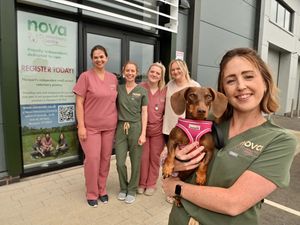 Supporting image for story: Dream come true for Shropshire trio as new independent vets opens in Newport