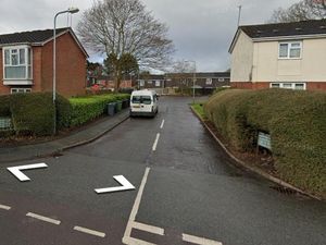 Supporting image for story: Wolverhampton murder probe police ‘subjected to abuse’ by dog walkers