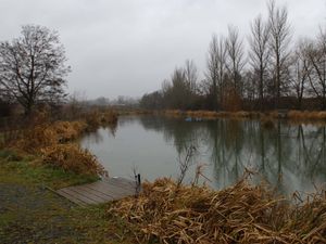 Supporting image for story: Oswestry anglers take the bait for online fishing