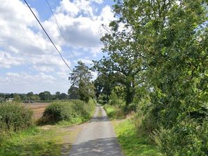 Supporting image for story: Police investigating after 10 cats found dead on Christmas Eve