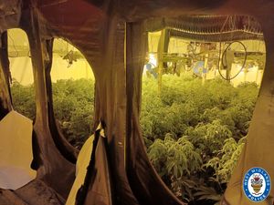 Supporting image for story: Police uncover £3 million drugs factory in disused warehouse