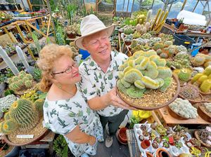 Supporting image for story: What it's like to run a cactus nursery