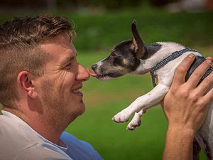Supporting image for story: It's a day for dogs to bow-wow the crowds