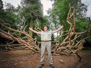 Supporting image for story: Shropshire's Hawkstone Park Follies open their gates again