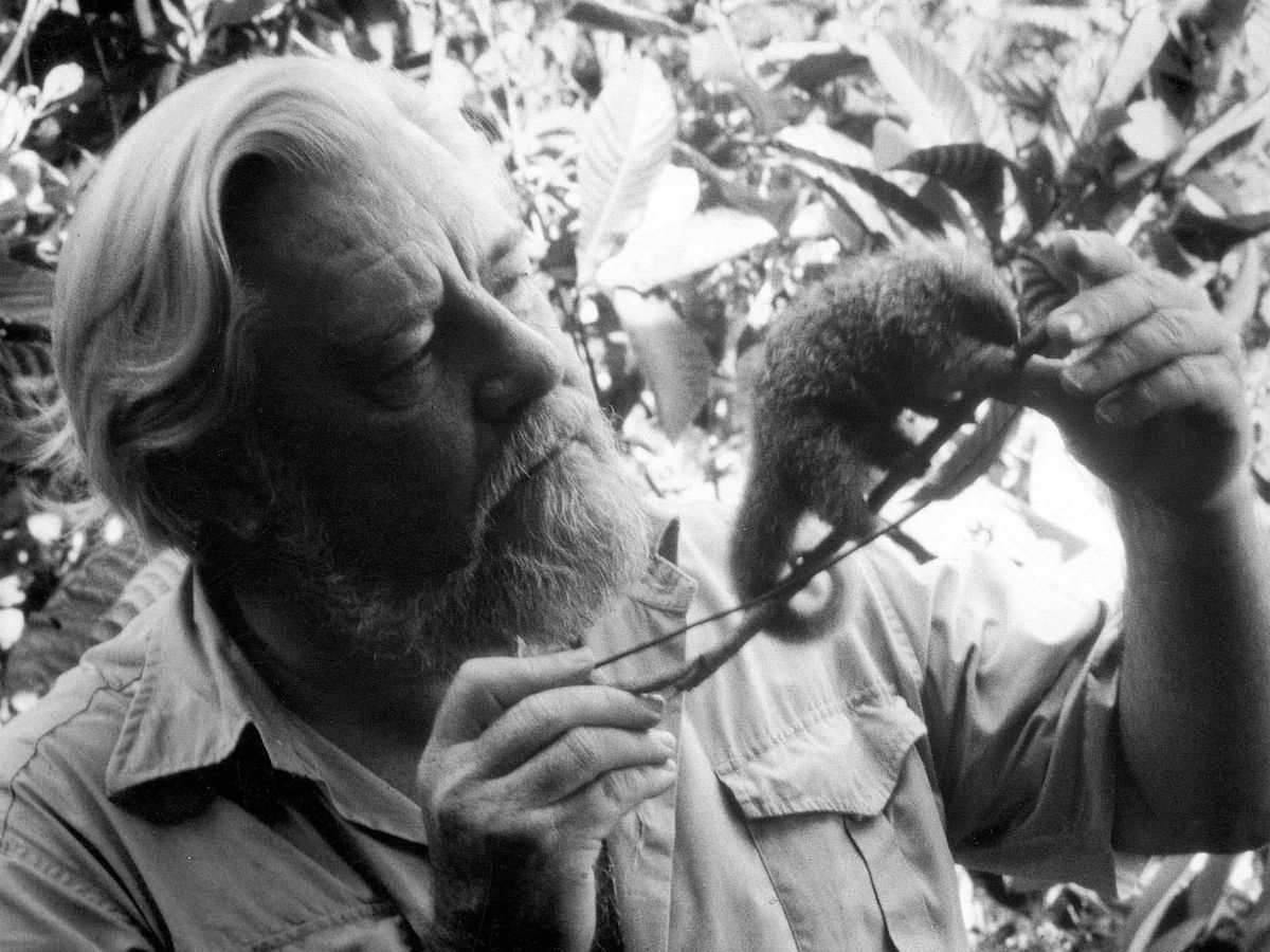 Rare specimens collected by naturalist Gerald Durrell donated to museum