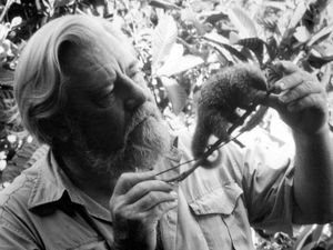 Supporting image for story: Rare specimens collected by naturalist Gerald Durrell donated to museum