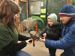 Supporting image for story: Telford's Exotic Zoo closes to the public at its Priorslee site 