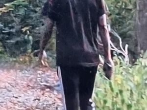 Supporting image for story: Police launch appeal to trace man after indecent exposure incident in Birmingham