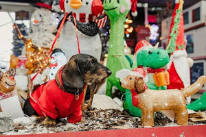 Christmas 2025 at Dobbies