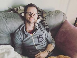 Supporting image for story: This guy did a crucial study into which of his cats likes being petted most