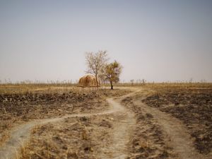 Supporting image for story: Rhodes on our hot ancestral home, Nostradamus's prediction on war and the hard history of Ukraine's warriors