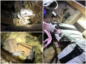 Left, Some of the drugs found in the attic, and right, the haul pulled from the hidden wall space