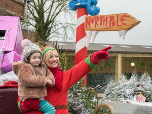 Supporting image for story: Christmas comes early to West Midland Safari Park with Santa Safari - review with pictures