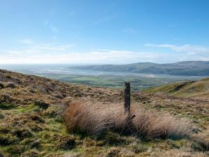 Supporting image for story: Major backer of Summit to Sea project pulls out