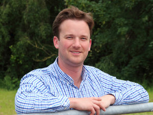 Supporting image for story: Buy local this Christmas