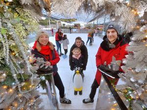 Supporting image for story: Bridgnorth garden centre to reopen popular skating rink