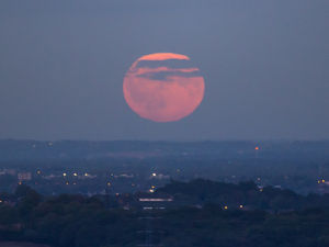 Supporting image for story: Harvest Moon rears its head