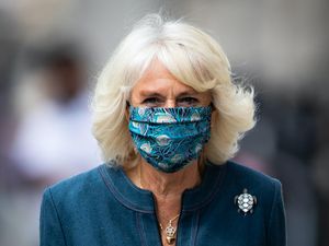 Supporting image for story