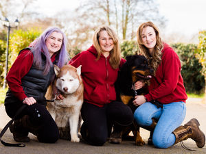 Supporting image for story: Fundraiser launched to help Shropshire pet hotel through coronavirus crisis