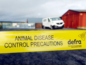 Supporting image for story: Poultry and captive birds must be kept inside from next week