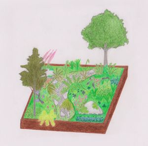 Christopher North’s Border, A British Rainforest, raises awareness of temperate rainforests and the need to protect them