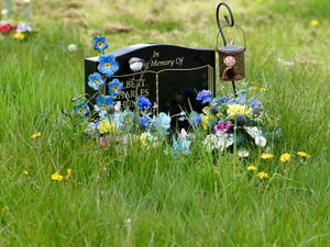Supporting image for story: 'Enough is enough': Residents to hold public meeting over 'disgusting' cemetery 