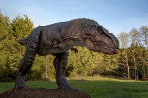 One of the new dinosaur animatronics at Hoo Zoo. Picture: David Crumpton