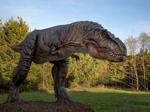 Supporting image for story: 'World-class' animatronic dinosaurs landing at Shropshire zoo - here's where and when