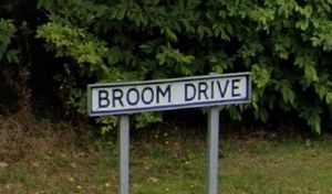 Broom Drive is a cul-de-sac in The Rock, Telford. Picture: Google Maps
