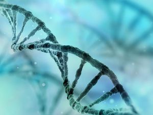 Supporting image for story: Crispr-Cas9: The gene editing tool scientists used to successfully alter DNA in defective embryos