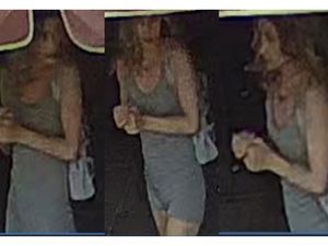 Supporting image for story: Images released after two women have faces bitten in Ironbridge attack