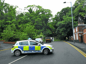 Supporting image for story: Fallen tree blocks main road out of Wolverhampton