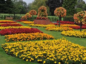 Supporting image for story: Oswestry's Cae Glas park to reopen