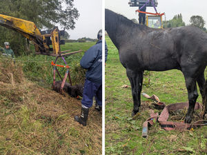Supporting image for story: In pictures: Firefighters rescue stricken horse from muddy brook near Wem
