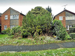 Supporting image for story: Now you see it! House covered in ivy finally emerges into view