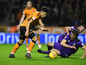 Supporting image for story: Wolves 2 Norwich 2 - Match highlights