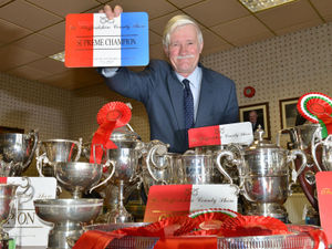 Supporting image for story: Online ticket sales soar for Staffordshire County Show