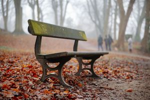  Walsall Arboretum in the cold and foggy conditions today (Friday)