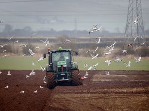 Supporting image for story: Impact of changes to farming inheritance tax: key questions answered