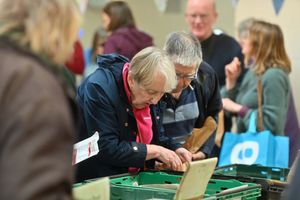 Rooting around for the best on offer.