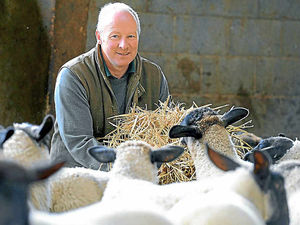 Supporting image for story: Shropshire farmers worried over newborn lambs as damp weather persists